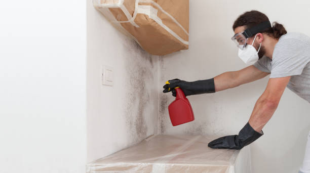 Professional Crawl Space Mold Remediation technician working in Englewood, FL